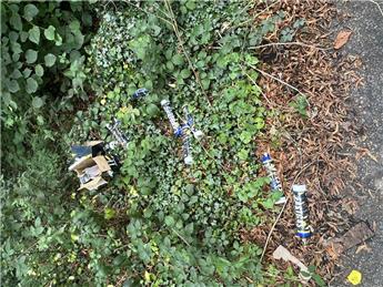 The Scourge of Nitrous Oxide
