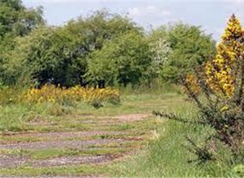  - Why Not Volunteer to Work with Dartford's Countryside Team