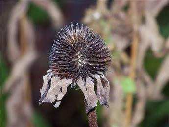 Autumn Approaches!!