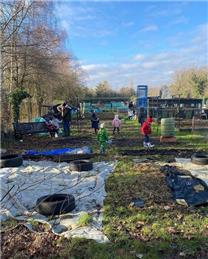 Ann Allen Allotments