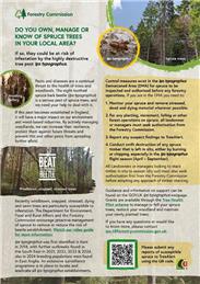 Spruce Trees - Message from the Forestry Commission