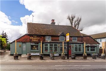 The Orange Tree's Official Launch